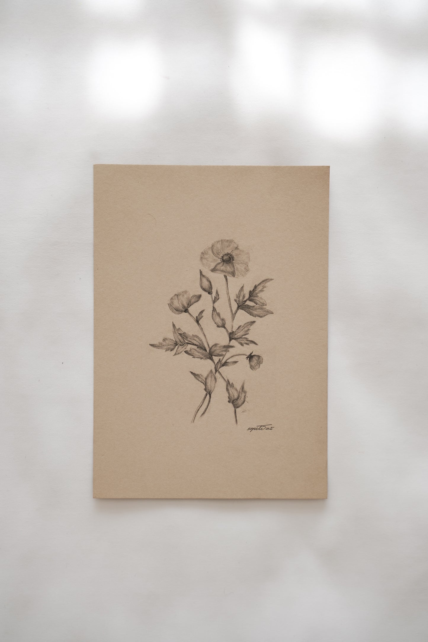 Botanical drawing