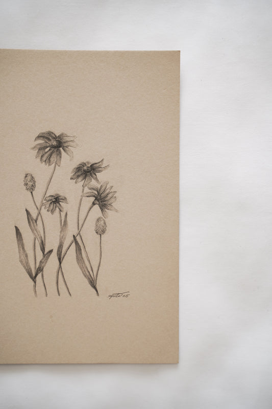 Botanical drawing