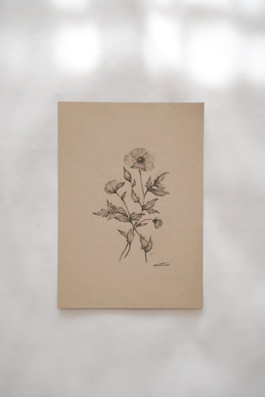Botanical drawing