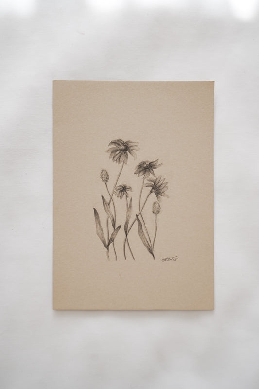 Botanical drawing